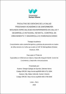 Miniatura